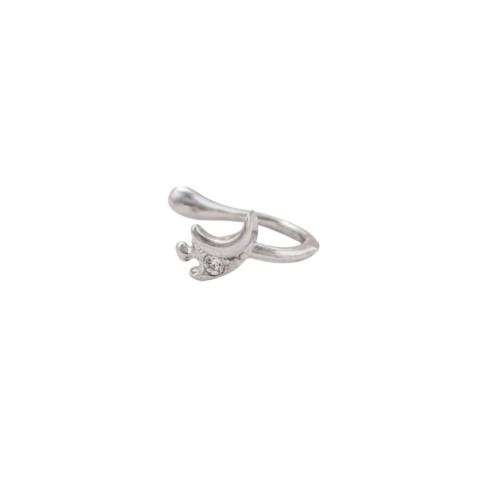 Silver Crescent Nose Ring & Stud